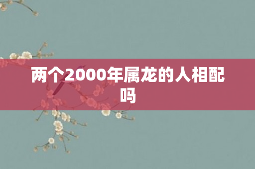 两个2000年属龙的人相配吗
