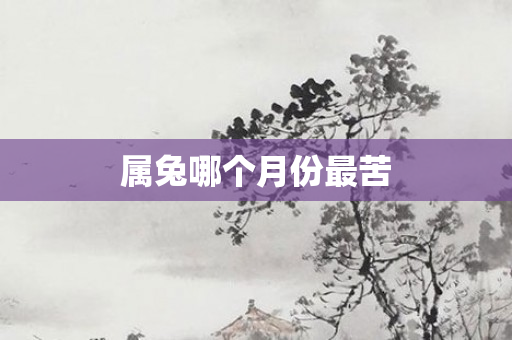 属兔哪个月份最苦