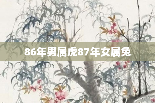 86年男属虎87年女属兔