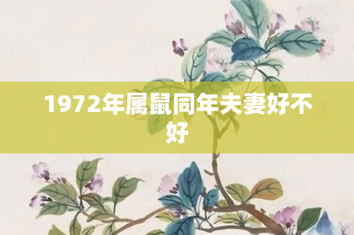 1972年属鼠同年夫妻好不好
