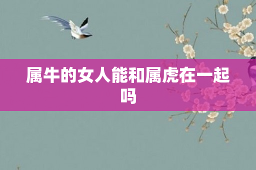 属牛的女人能和属虎在一起吗