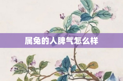 属兔的人脾气怎么样
