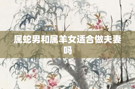 属蛇男和属羊女适合做夫妻吗