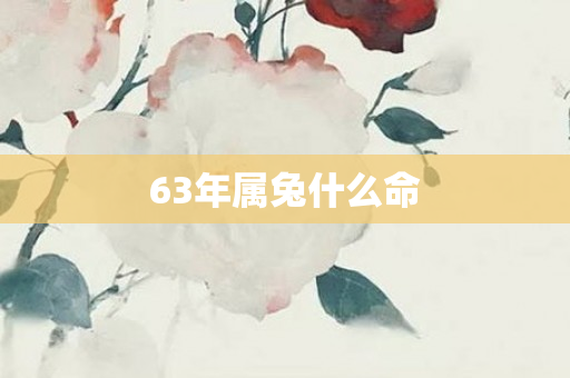 63年属兔什么命