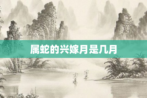 属蛇的兴嫁月是几月