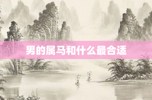 男的属马和什么最合适