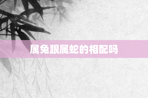 属兔跟属蛇的相配吗