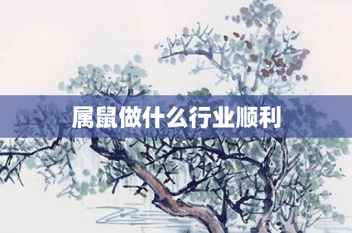 属鼠做什么行业顺利