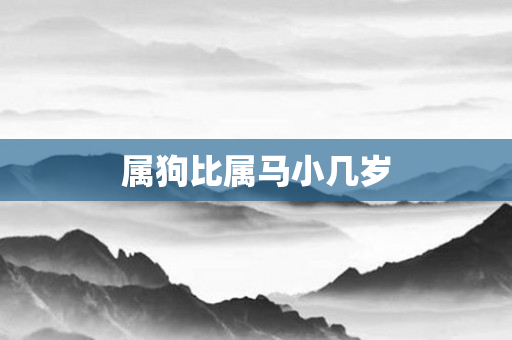 属狗比属马小几岁