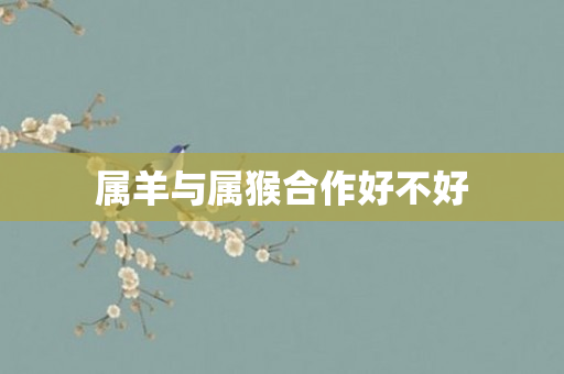 属羊与属猴合作好不好