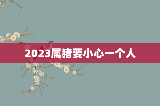 2023属猪要小心一个人