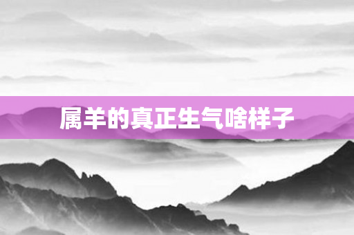 属羊的真正生气啥样子