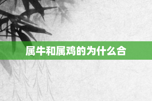 属牛和属鸡的为什么合