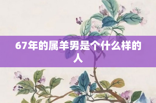 67年的属羊男是个什么样的人