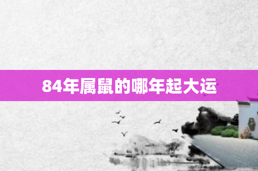 84年属鼠的哪年起大运