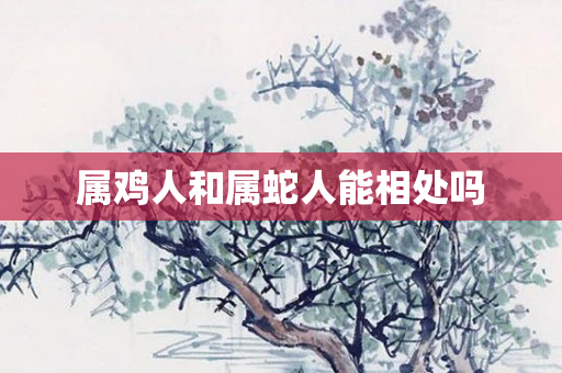 属鸡人和属蛇人能相处吗