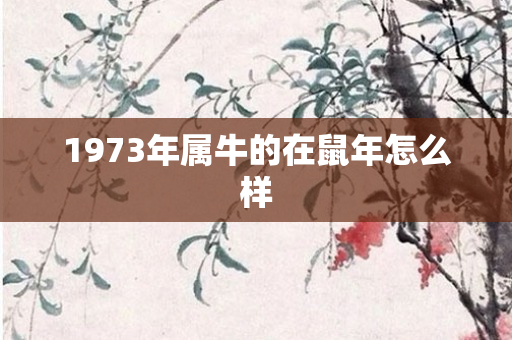 1973年属牛的在鼠年怎么样