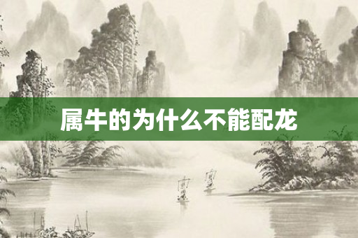 属牛的为什么不能配龙
