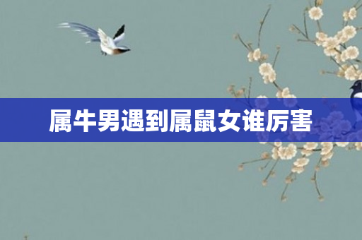 属牛男遇到属鼠女谁厉害