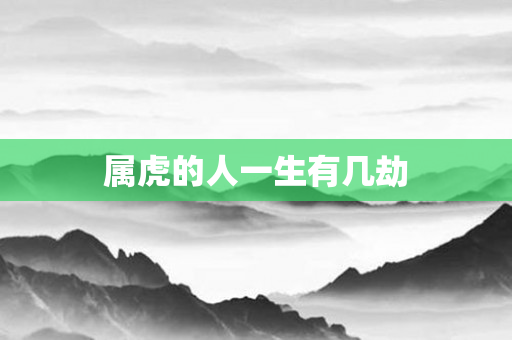 属虎的人一生有几劫