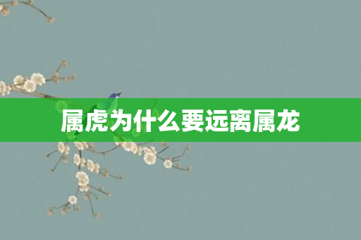 属虎为什么要远离属龙