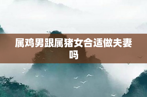 属鸡男跟属猪女合适做夫妻吗