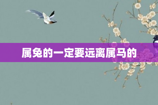 属兔的一定要远离属马的