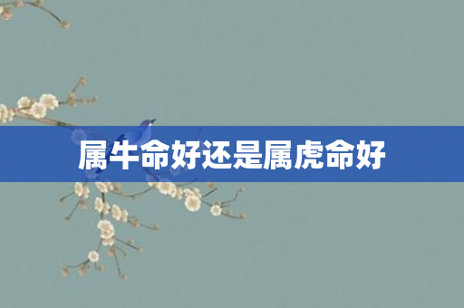 属牛命好还是属虎命好