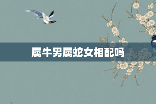 属牛男属蛇女相配吗