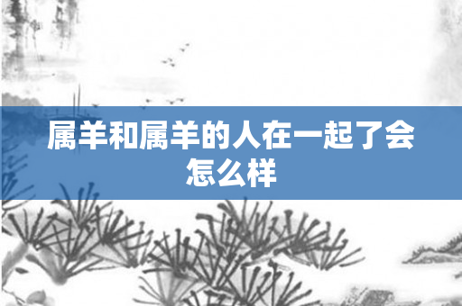 属羊和属羊的人在一起了会怎么样