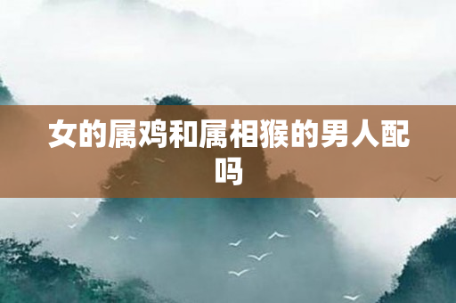 女的属鸡和属相猴的男人配吗