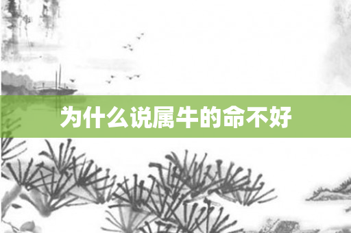为什么说属牛的命不好