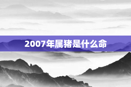 2007年属猪是什么命