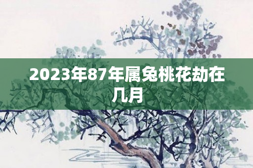 2023年87年属兔桃花劫在几月