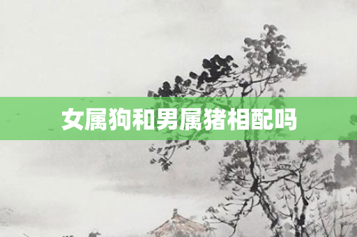 女属狗和男属猪相配吗
