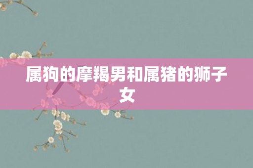 属狗的摩羯男和属猪的狮子女