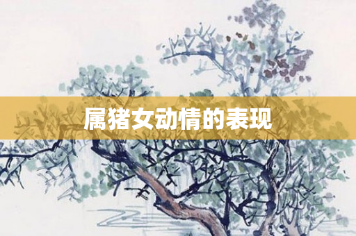 属猪女动情的表现