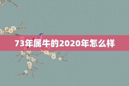 73年属牛的2020年怎么样