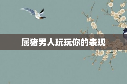 属猪男人玩玩你的表现