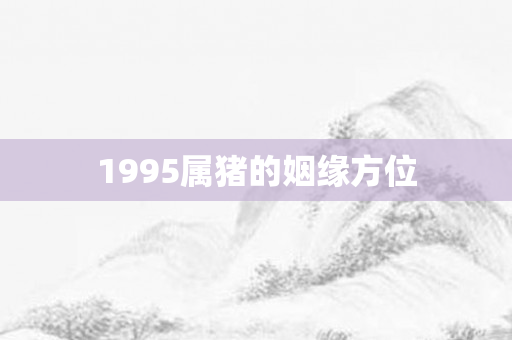 1995属猪的姻缘方位