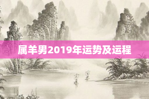 属羊男2019年运势及运程