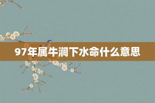 97年属牛涧下水命什么意思