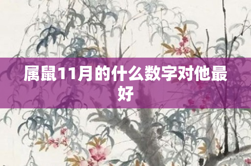 属鼠11月的什么数字对他更好
