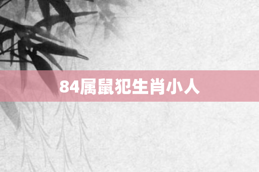84属鼠犯生肖小人
