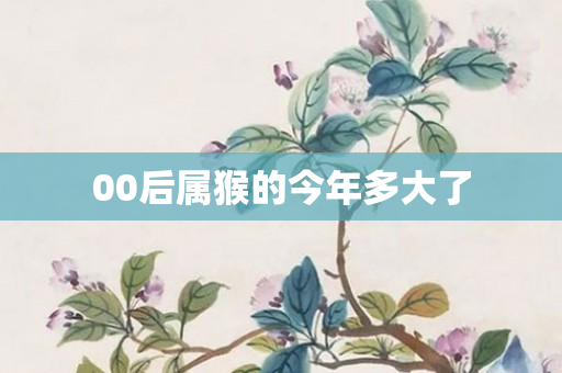 00后属猴的今年多大了