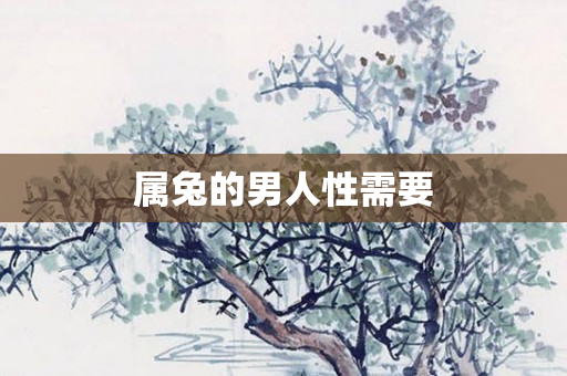 属兔的男人性需要