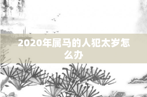 2020年属马的人犯太岁怎么办