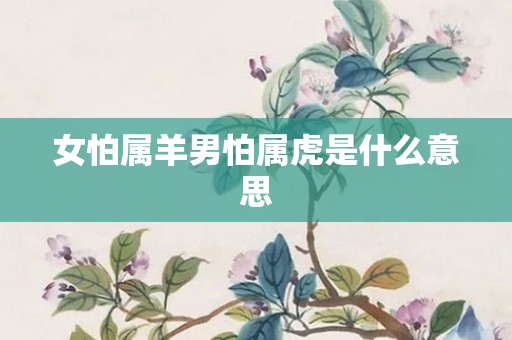 女怕属羊男怕属虎是什么意思