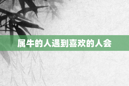 属牛的人遇到喜欢的人会