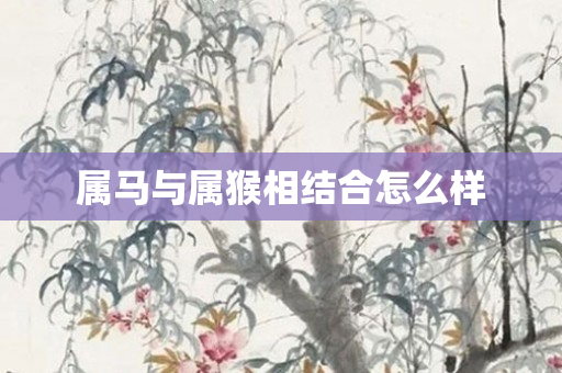 属马与属猴相结合怎么样